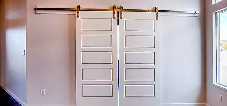 Glass Barn Door with Installation Hardware Kit Glenview