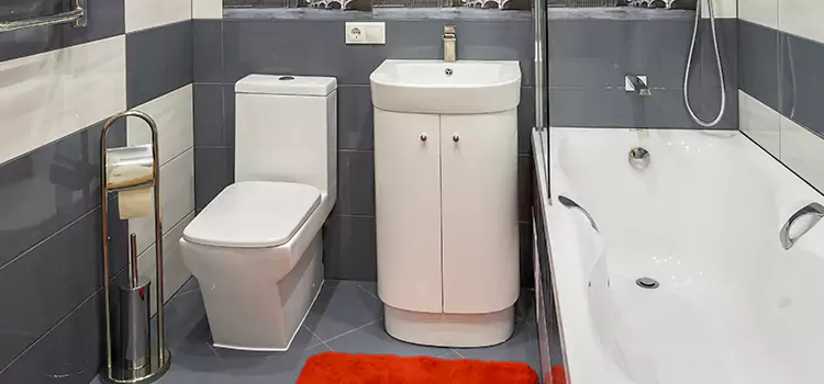 Hansgrohe Shaving Mirror Glenview